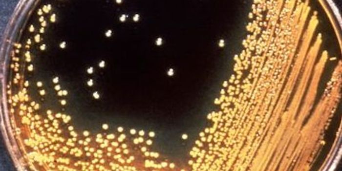 A Fast-acting Vaccine for Cholera