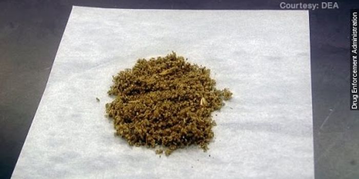 Synthetic Drug 'Spice' Spikes Rise In ER Visits