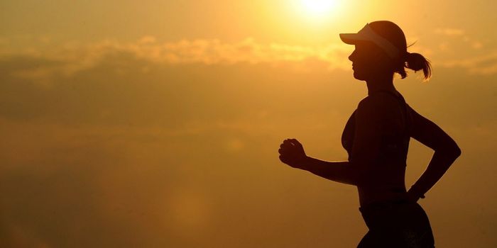 Exercise Reverses Learning Impairments from Cannabinoid Issues