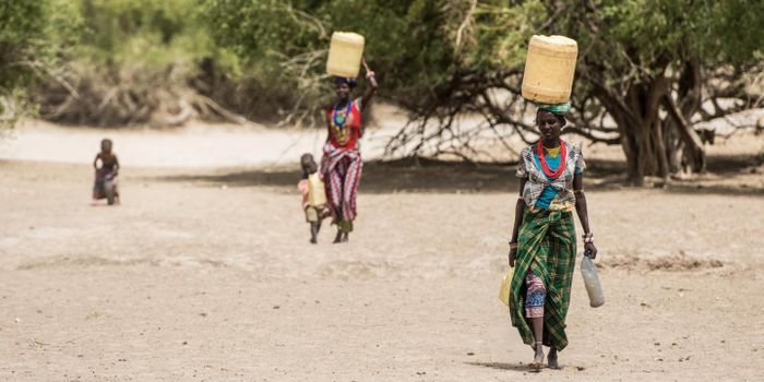 Does a 'Mismatch' Between Diet and Biology Cause Poor Health?