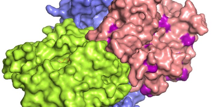 Behind the Scenes: Regulation in the Immune System