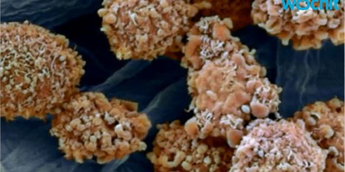 How Cancer Cells Mutate Isn't Random