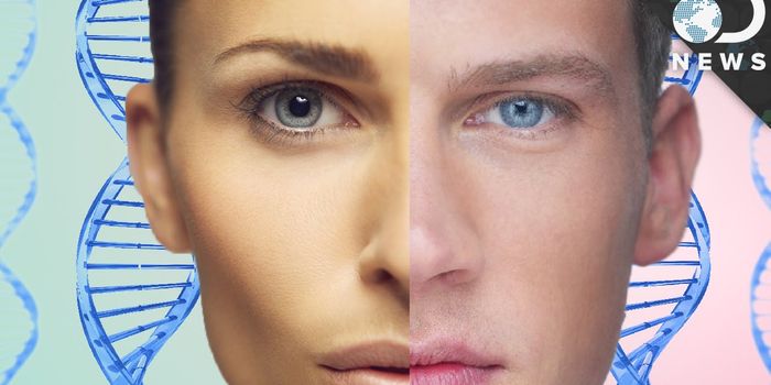 Could You Be Your Own Twin?