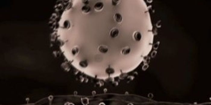 DNA Nanorobots Mimic Viruses to Potentially Treat Disease 