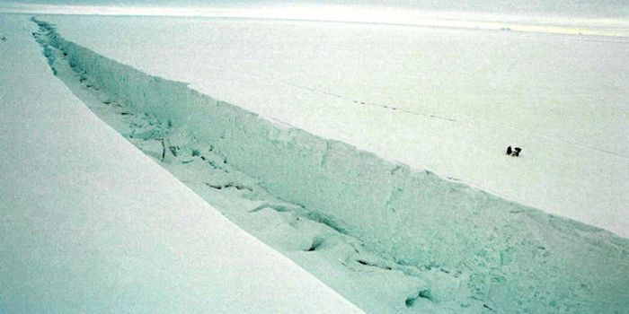 Say Goodbye to Antarctica's Larsen C Shelf