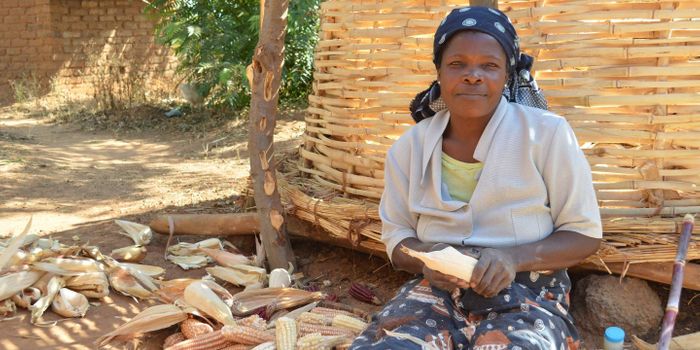 Genetically Engineered Foods Could Alleviate Nutritional Deficiencies