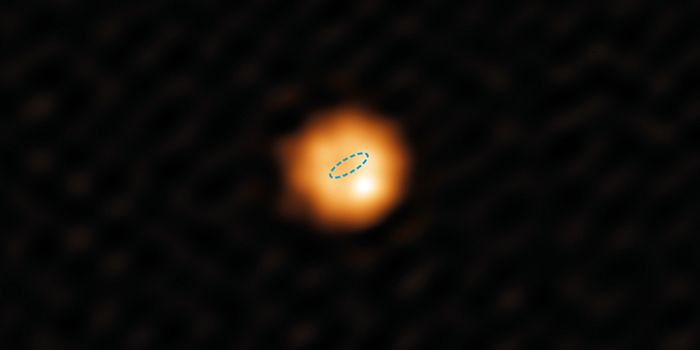 This Giant Red Star Could Teach Us More About Our Sun's Future