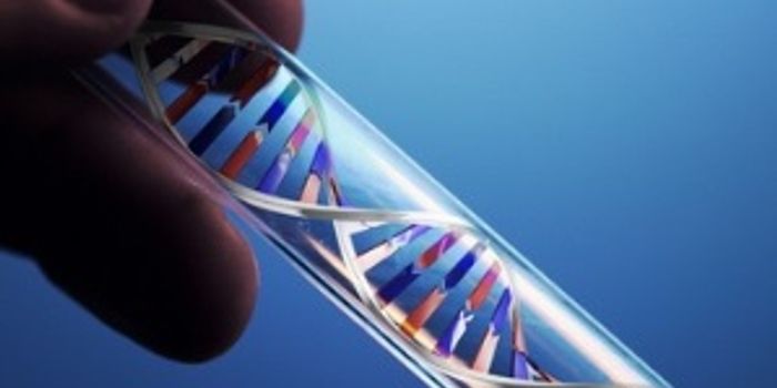 Biological Innovation: Potential and Challenges in Addressing Global Problems