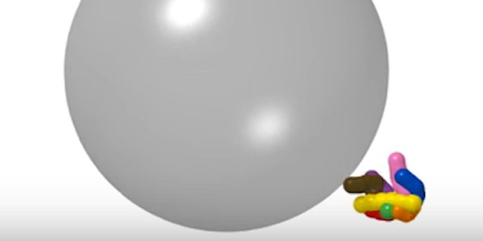 Super-resolution Allows Visualization of Subcellular Structure in Vivo