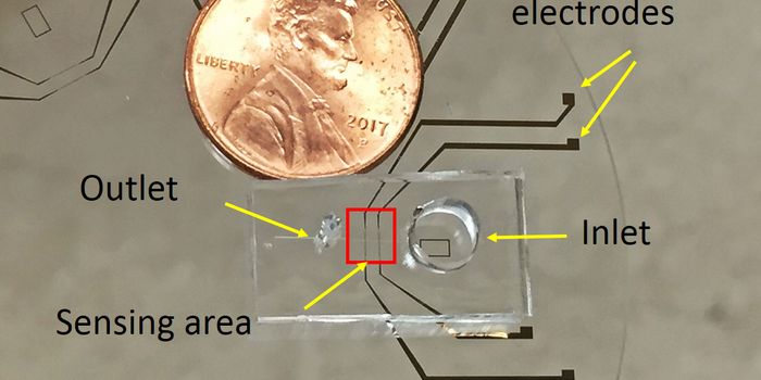 Portable device analyzes microbes in the environment