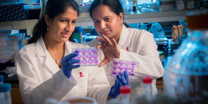 How does the immune system protect humans from the flu?