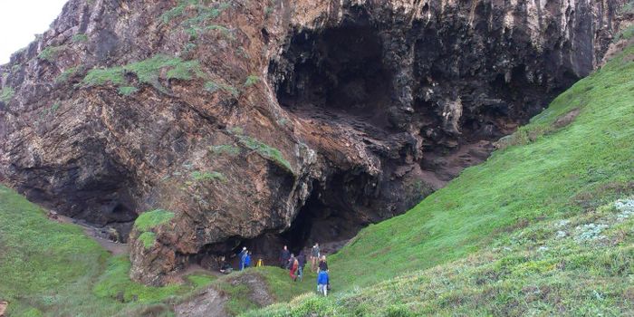 Ancient Hearths Reveal Humans' Early Taste for Starch