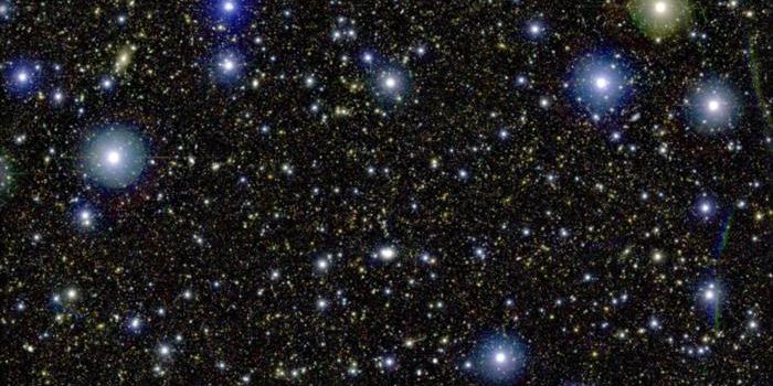 Crowded Cosmic Regions Slow Galaxy Growth