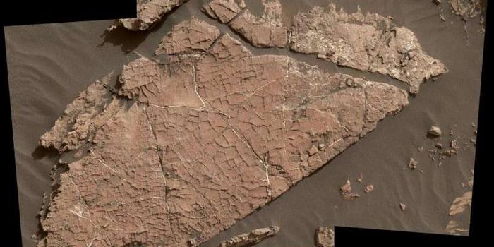 Curiosity Rover Discovers Mud Cracks on Mars