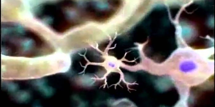 Introduction to Cells 