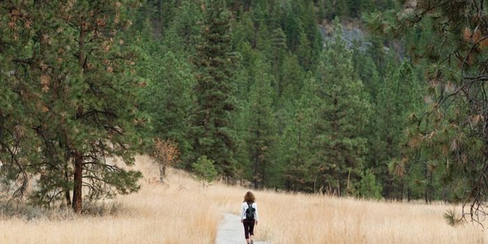 Longer Walks Lower Risk of Heart Disease and Death