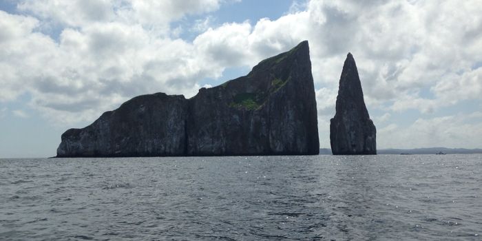 Galapagos Discovered