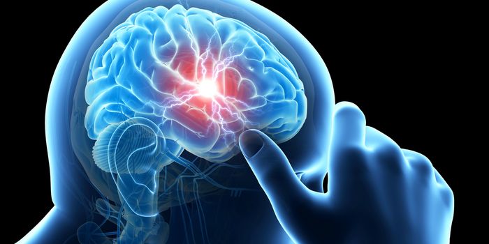 Scripps Florida Scientists Pinpoint Regulator of Amphetamine Induced Motor Activity