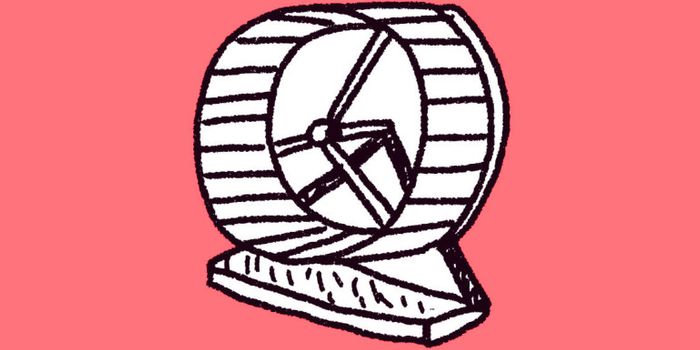 Gene helps mice live longer if they exercise