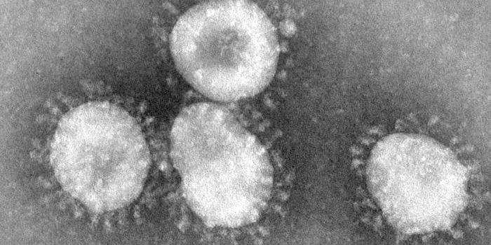 Seeing How a Cold Penetrates Cells