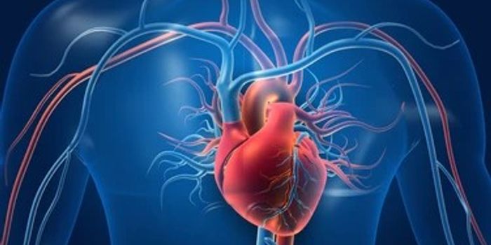 Cardiovascular diseases could see sharp increase in US by 2060