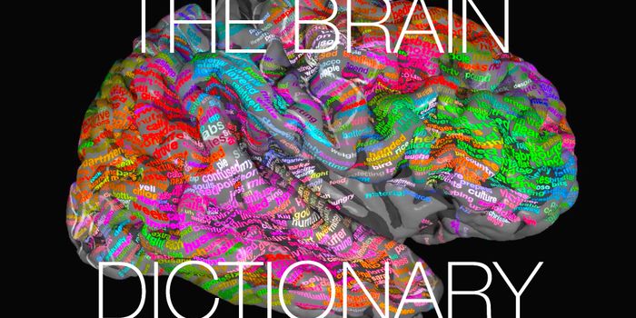 A Brain Dictionary