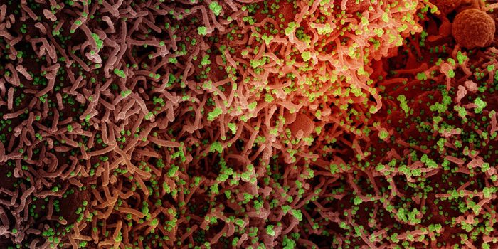 Vaccination Reduces the Risk of Long COVID by Half