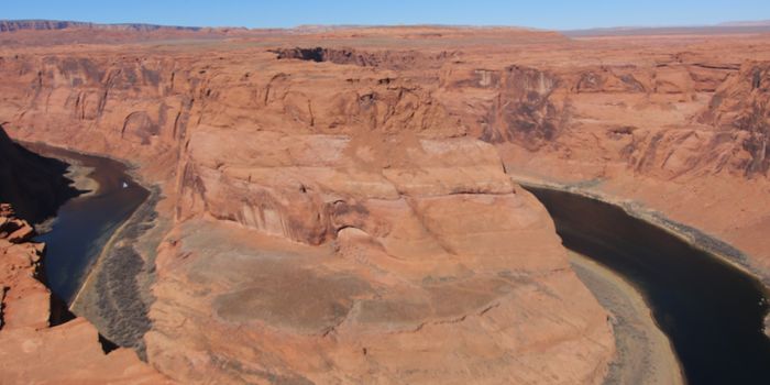 Serious Invasive Threat Arises as Zebra Mussel Larvae Found in Colorado River