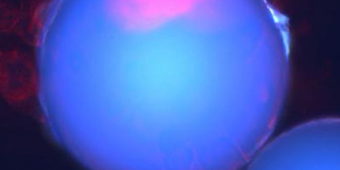 New Technique Isolates Deadly Cancer Stem Cells