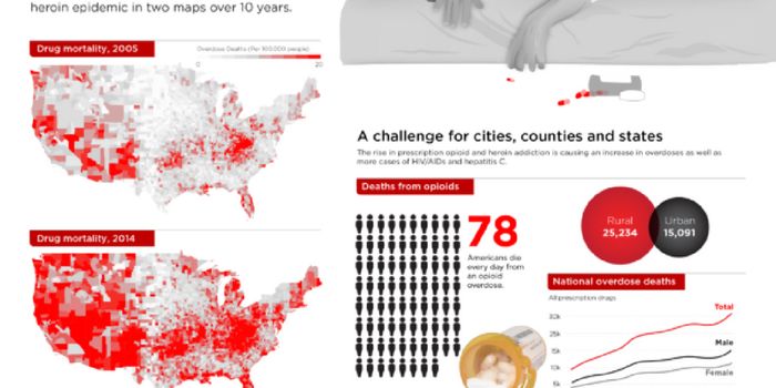 Opioid Crisis: How Can Chemistry Community Help?