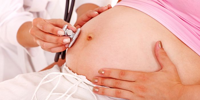 Dual Autism-Intellectual Disability From Maternal Inflammation