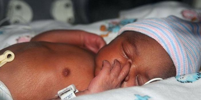 Brain Wiring in Preemies Is Affected Before Birth
