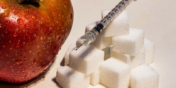 How Obesity and Diabetes Combine to Affect the Brain