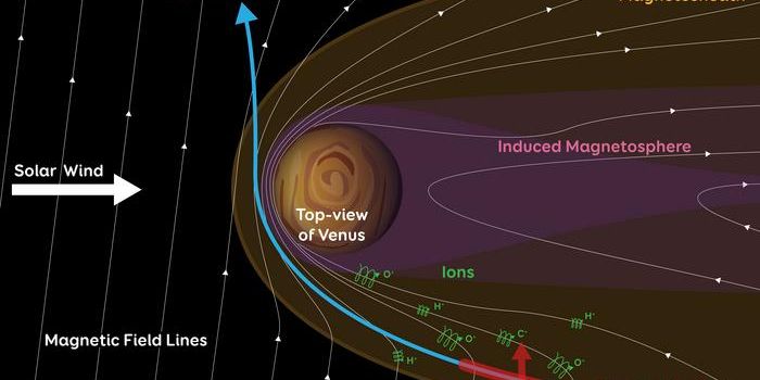 BepiColombo Mission Offers New Insights into Venus's Atmospheric Loss