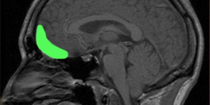 Mapping Economic Decisions in the Brain