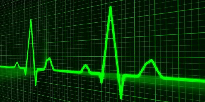 Can Grape Polyphenol Extracts prevent Cardiotoxicity?