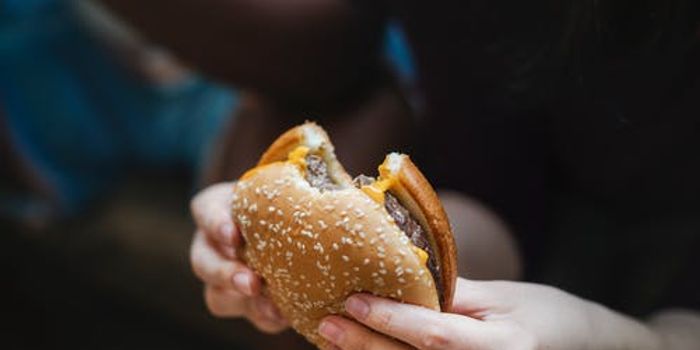 Processed Foods Studied In Controlled Environment