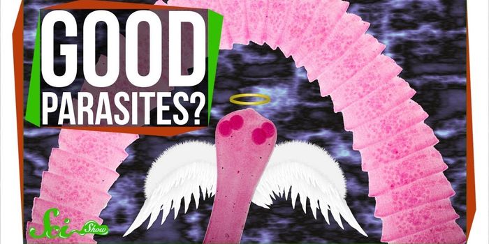 The Potential Health Benefits of Parasitic Worms