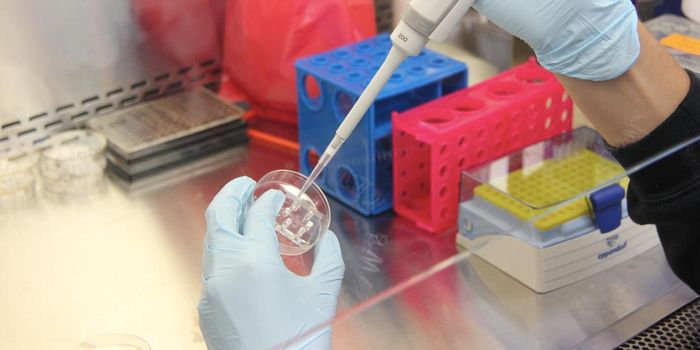 US-Funded Research to be Open Access by 2026 Under New Federal Guidance