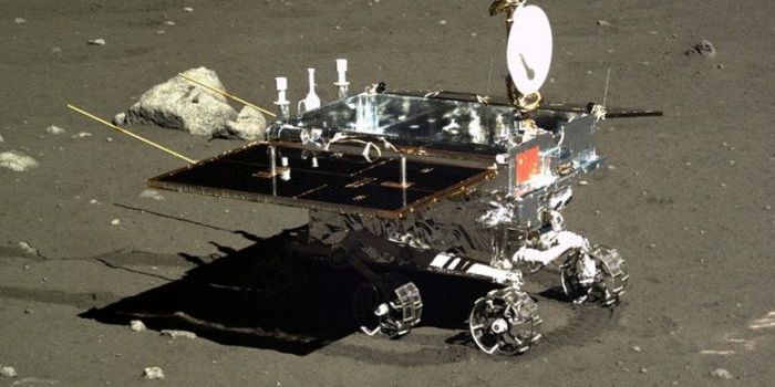 Upcoming Lander to Send Insects and Plants to the Lunar Surface