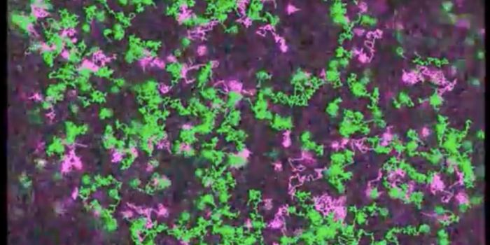 An Unprecedented Look at G Protein Coupled Receptors