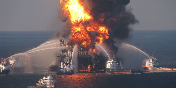 Chalk Up Another One for Microbes: Cleaning Up the BP Oil Spill