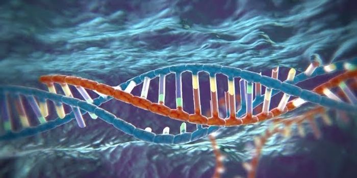 Finding the Next Gene-editing Enzyme