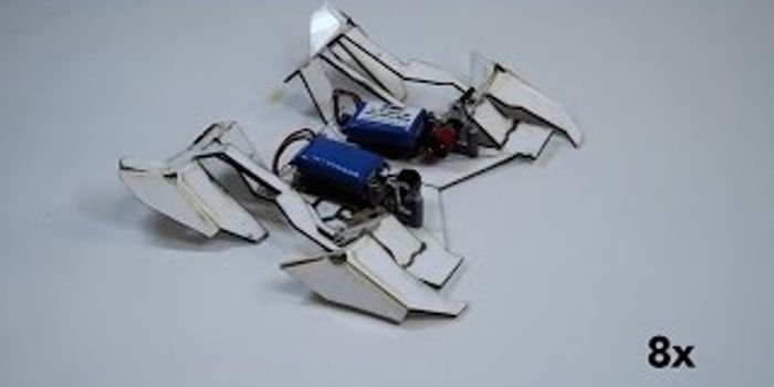 Robot: Make Thyself!