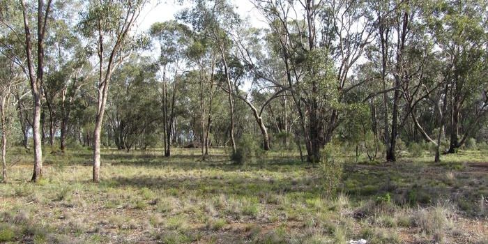 Increasing Environmental Stressors Decrease Ecosystem Resilience