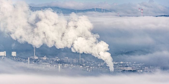 Can the Right Gut Bacteria Relieve Chronic Lung Disease?