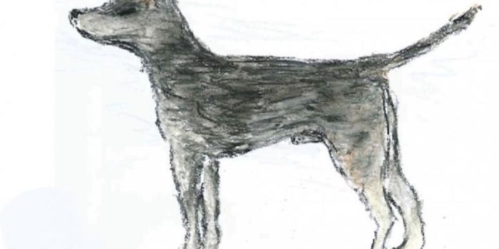 A Canine Cancer That Began to Spread From One Dog About 6,000 Years Ago