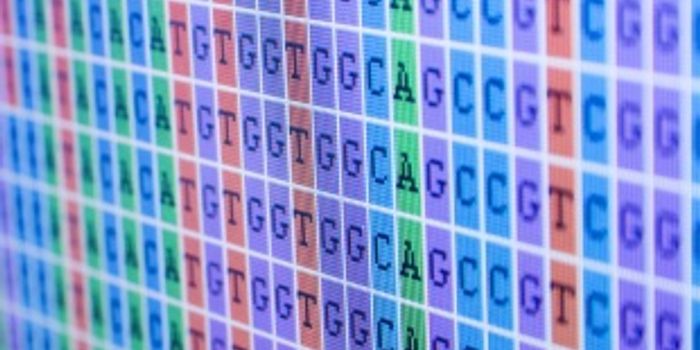 Genome Sequencing on Native American Skeleton Sparks Further Debate 