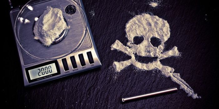 How Epigenetics Could Cure Addiction