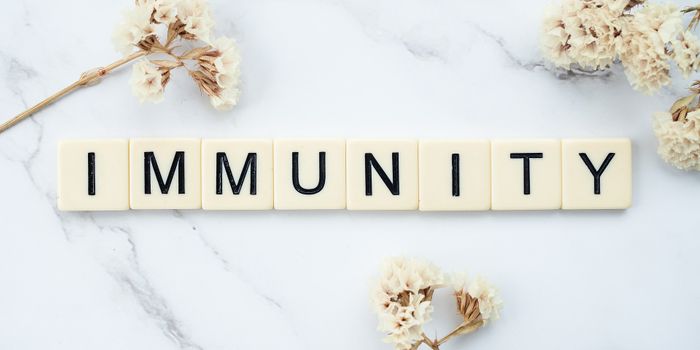 Can Magnesium Help the Immune System Fight Cancer?